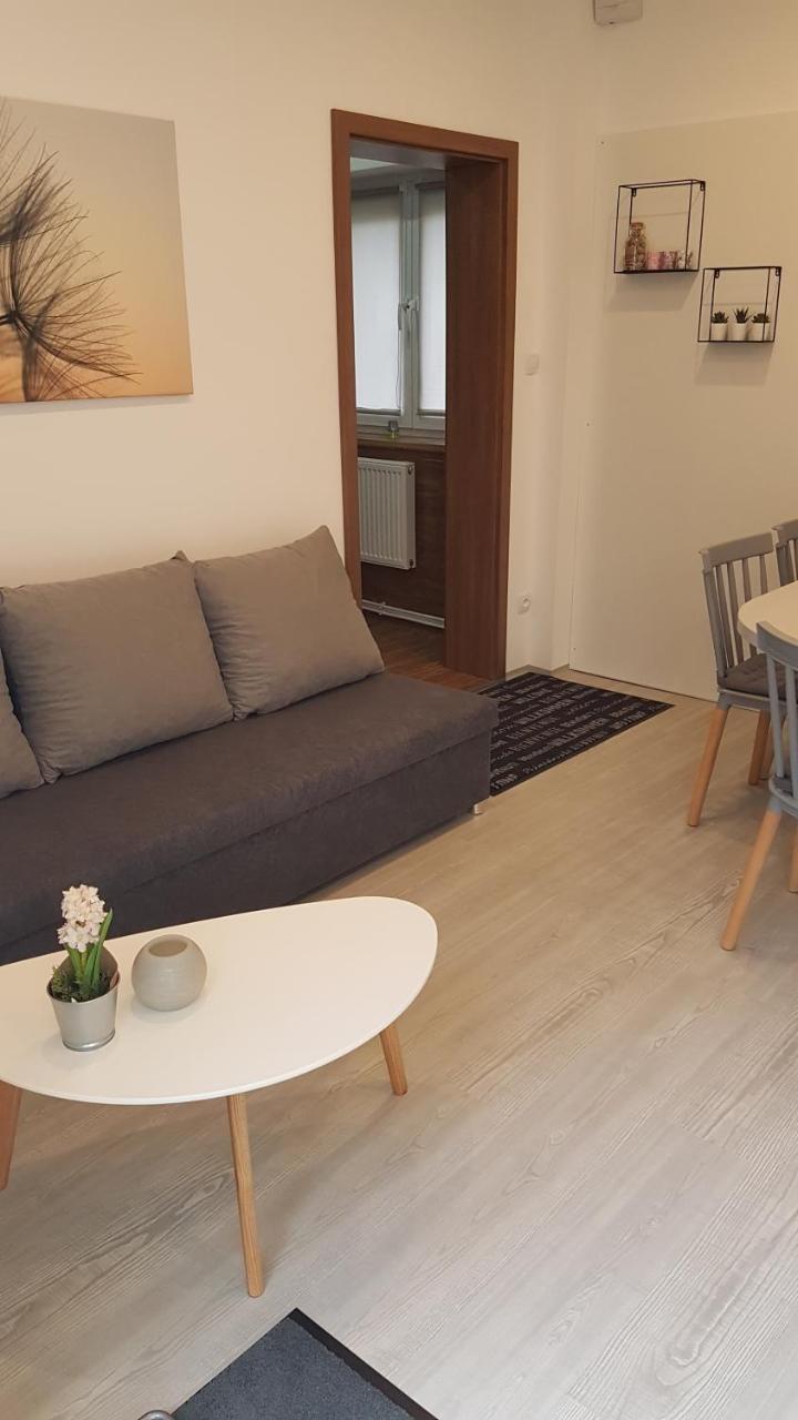 Františkovy Lázně Apartment Pension Stark מראה חיצוני תמונה